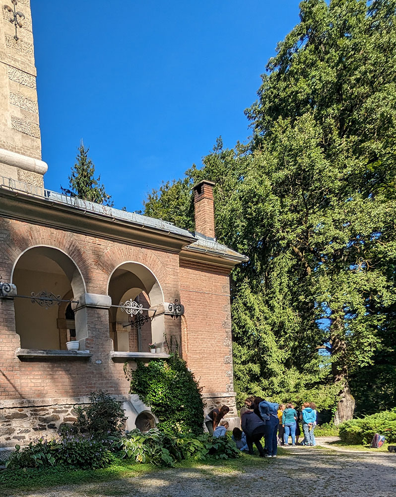 PXL_20230904_080845011_Original