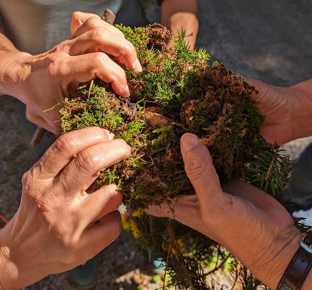 PXL_20230904_090718507.MP_Original